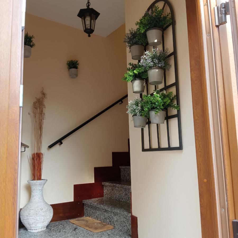 Casa Di Dario Villa Pettenasco Eksteriør billede